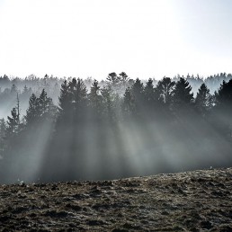 Skadsholm i solen by lebaf